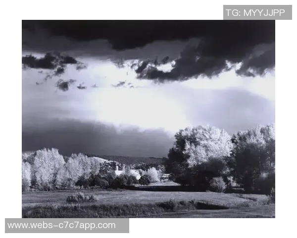 亚当斯的传奇人生与时代变迁的深刻影响探索